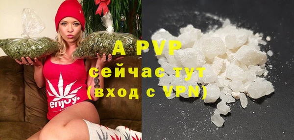 spice Горняк
