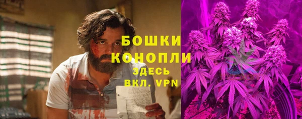 гашик Горнозаводск