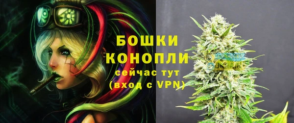 spice Горняк