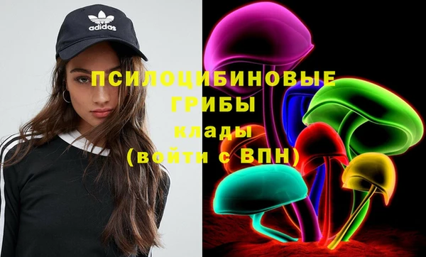меф Горно-Алтайск