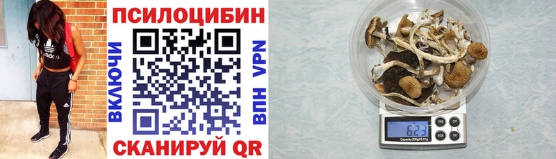 Псилоцибиновые грибы мицелий Мценск